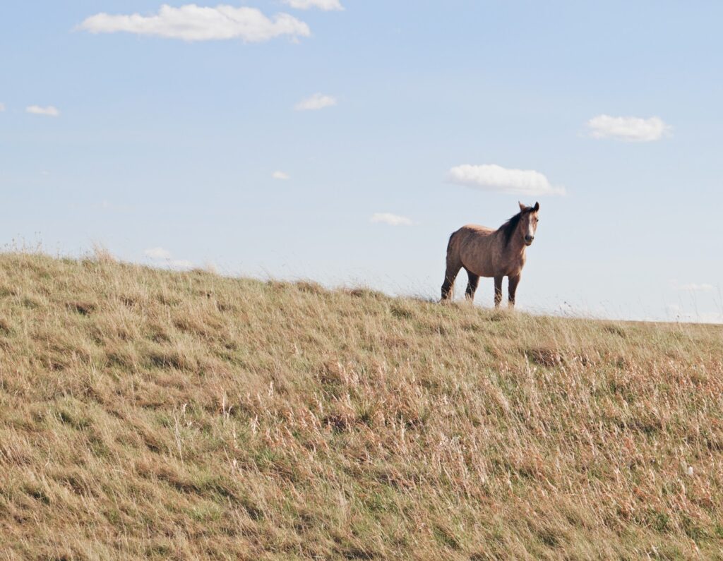 Gallery Earth Dinner for Two Img 3