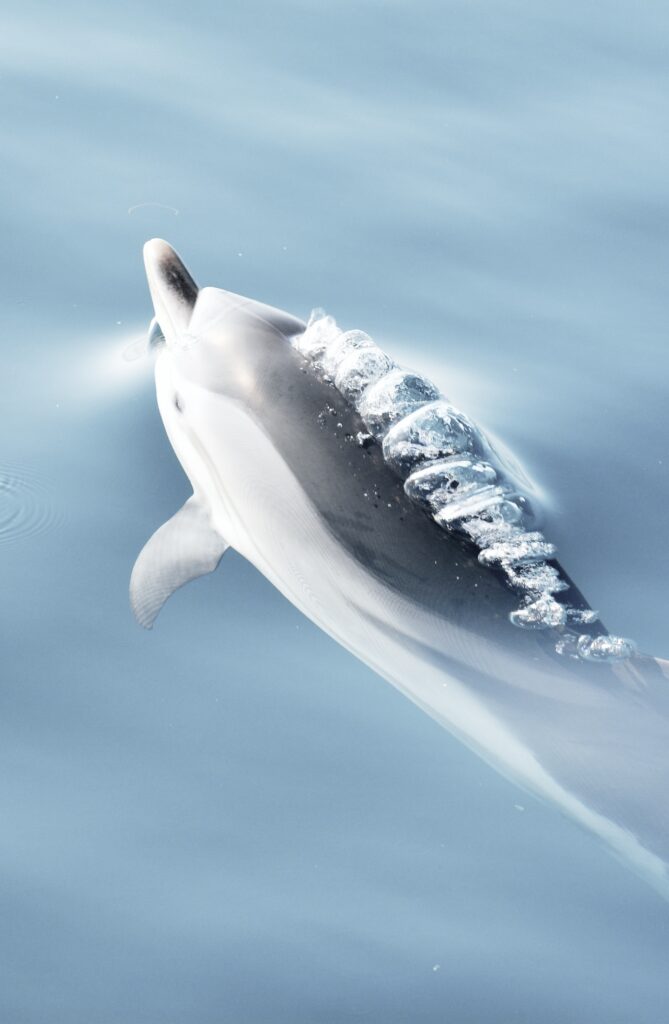 Gallery Water Playing Around Img 1